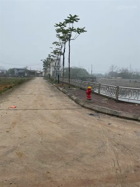 Chính chủ bán ô đấu giá liên châu yên lạc vĩnh phúc, diện tích 100m2 mặt tiền 5m , ô tô vào tận nhà