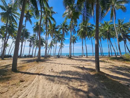 Bán đất mặt tiền nguyễn đình chiểu khu phố 1 gần sealink có lối xuống biển