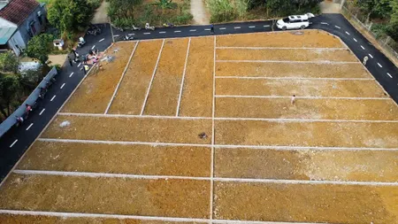 Sốc: Đất 110m² Chỉ 2xx Triệu – Trung Tâm Lạc Lương, Yên Thủy, Hoà Bình