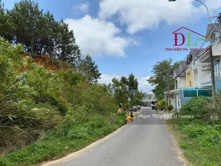 Bán đất kqh đồi thông ngô quyền, đà lạt, dt 200m2, giá 12,8 tỷ