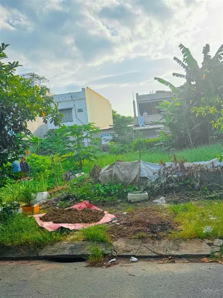 Chuyển nhượng lô đất định cư đường 5m5 phù đổng