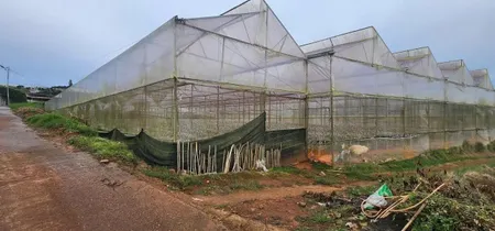 BÁN LÔ ĐẤT GÓC 2 MẶT TIỀN , XUÂN THỌ , ĐÀ LẠT