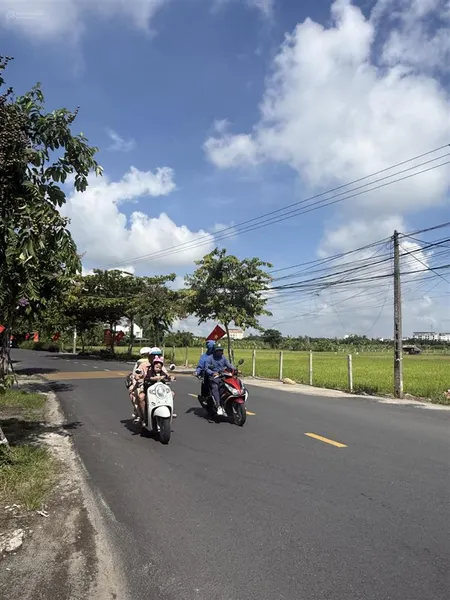 View lúa mặt tiền đường trần nhân tông. vị trí đắc địa để xây villa kinh doanh
