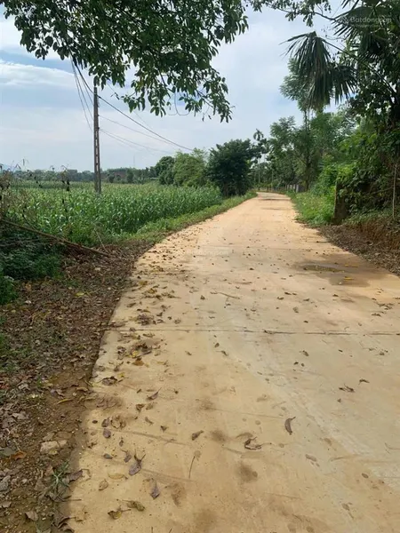Hàng mới lô đất gần 15m mặt tiền, view cánh đồng, cách đường nhựa 500m tại tu vũ, thanh thủy, pt