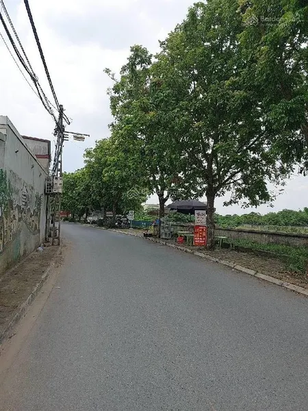 Đất đẹp trâu quỳ oto tránh thông tứ tung trung tâm hành chính,mặt tiền quyền lực mua là lãi