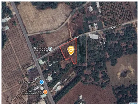 Bán đất 2876.2m² giá 2200000 tỷ Xã Xuân Thành