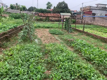 Bán Đất-Xã Minh Phú-(Sóc Sơn )-86M2 -1,75tỷ -Full Thổ Cư-Đường Rộng OTO 7 Chỗ Vào Đất. Diện tích:86m2 ,full thổ cư,  Đường trước đất rộng ,ô tô 7 chỗ vào tận nơi ,giao thông đi lại thuận tiện. 	+ Vị trí :gần Trường Cao đẳng Điện Hà Nội, gần chợ dân sinh –