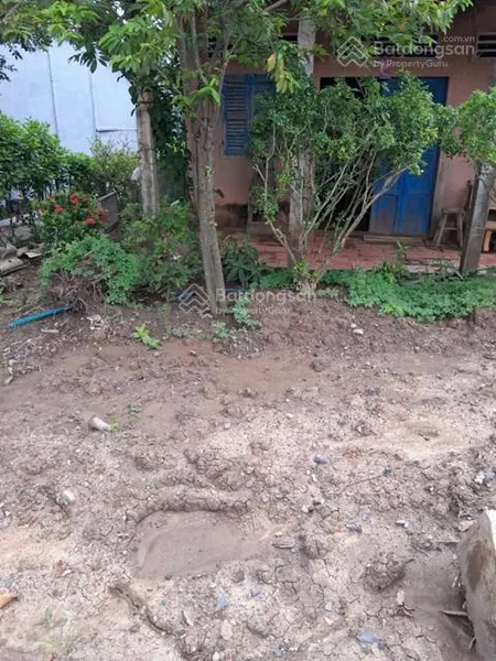 Đất đẹp mặt tiền bán gấp lô đất tiềm năng tại xã bình nghị, gò công đông, tiền giang