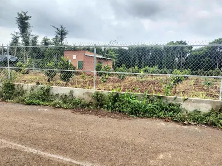 1.033m2 bầu chinh, có 25m mặt tiền đường nhựa bán 1,4 tỷ 0357 762 ***