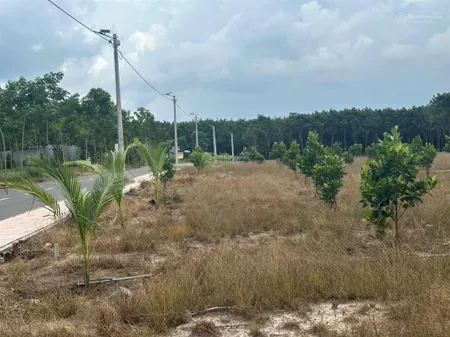 Cần bán gấp lô đất xào mặt tiền cao tốc thủ dầu một, 2000m2 bao phí giá tốt 980 triệu