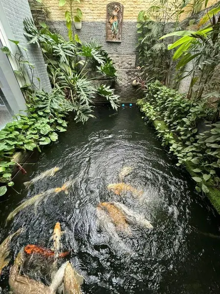 Bán biệt thự đẳng cấp trần thủ độ 286m 4 tầng sân vườn, gara ô tô