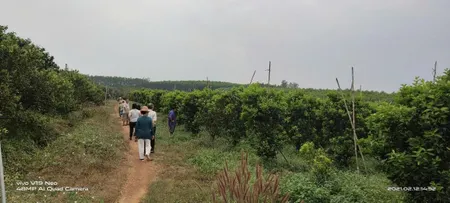 🌳 BÁN 7 ha – ĐẤT ĐANG TRỒNG CAM, CHANH, BƯỞI, THU HOẠCH ĐƯỢC 4 MÙA  – GẦN HỒ THỦY ĐIỆN TRỊ AN - ĐỒNG NAI