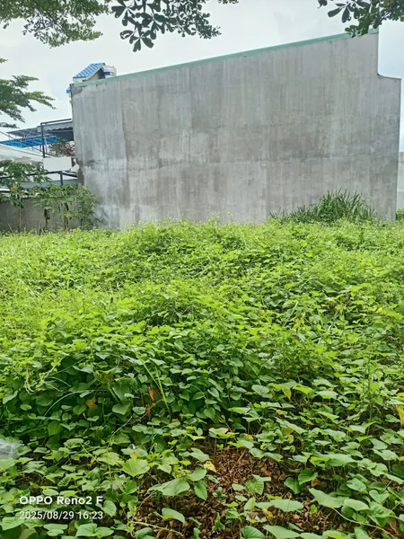 bán đất sổ riêng thổ cư