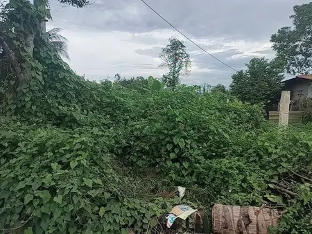 125m2 đọi 5a Thanh Luông mặt đường nhựa 0357201974