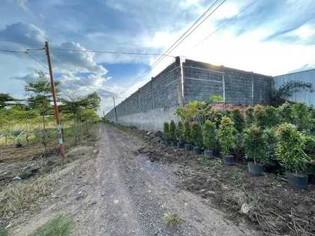 Bán 3 hecta đất nông nghiệp có 300 mét đất ở tại đường Nguyễn Hoàng, xã Sông Trầu, Trảng Bom, Đồng Nai