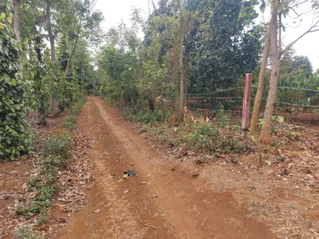 Bán Đất Eatar Cư M'Gar ĐăkLăk (thổ cư)