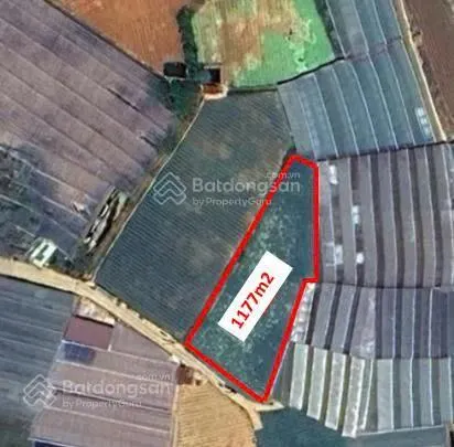 Đất nông nghiệp chuyển được full thổ cư, dt 1177m2, mt 30m đường cao thắng, p7, đà lạt. giá 8 tỷ