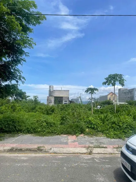 Ngộp vốn bán lô đất mt đường hai bà trưng, bình thạnh trung, lấp vò, đồng tháp, 550triệu/120m2/shr