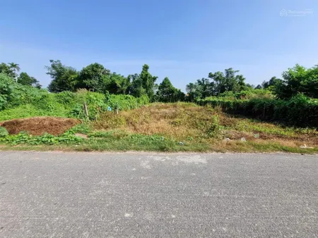 Mt nguyễn thị thạo 108m2 đường nhựa bán gấp giá ngộp chỉ 5 đất thật giá thật