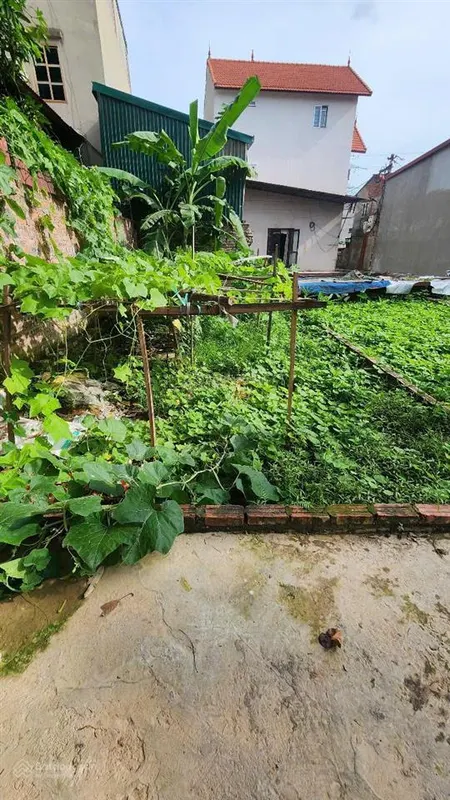 Bán đất vân hà vuông đẹp, trung tâm xã, 40m2, mt 4.5m, chào 2.35 tỷ, ô tô gần, đầu tư xây ở