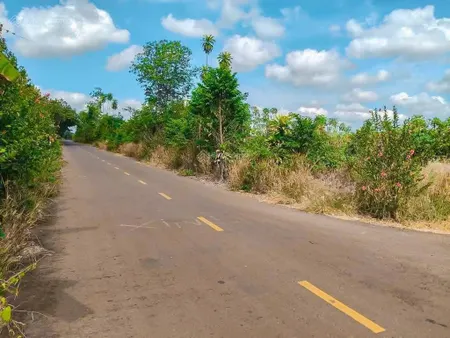 Nhà vườn 3 mặt tiền đường nhựa, sẵn thổ cư, vườn bơ cực đẹp, thuộc khu dân cư trung tâm xã tân lâm