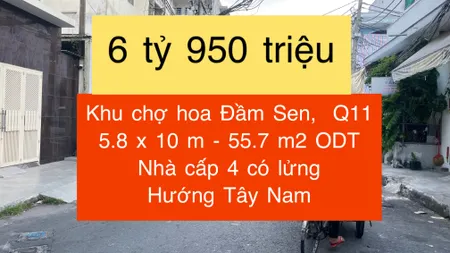 Nhà ngang 5.8m khu chợ hoa Đầm Sen chỉ 𝟲.𝟗𝟱 tỷ !