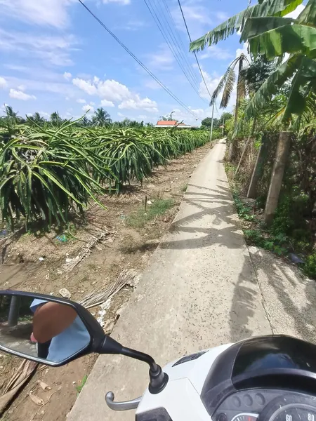 💥 Bán 2.220m2 Lương Hòa Lạc ( Thanh Bình Cũ  ) giáp Mỹ Phong. Tỉnh Đồng Tháp Giá 780tr/1000m2