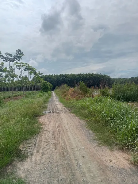 2 lô chung sổ 4000m2