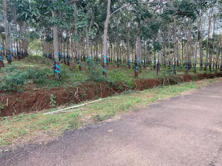 Bán nhanh lô đất 22000m2 mặt tiền nhựa, có cao su, chưa tới 5ty/ha