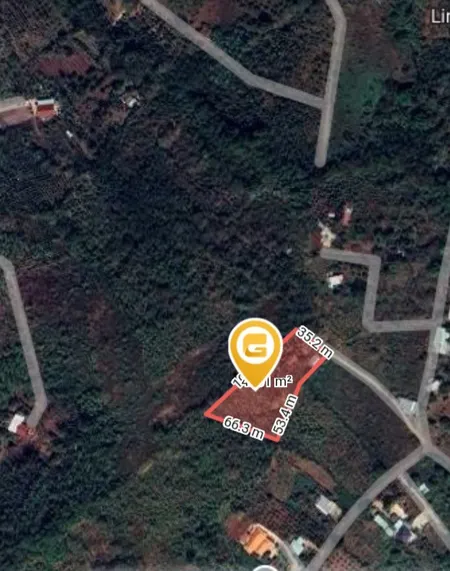 Đất đẹp 4.205m² Kim Long, thích hợp làm farmstay – giá đầu tư