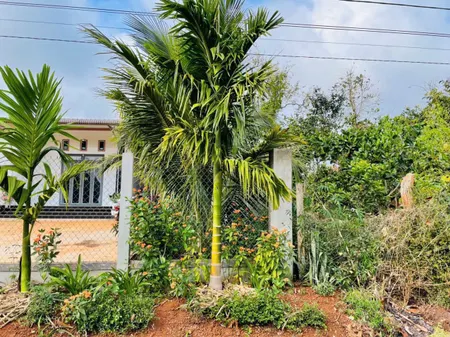 Bán đất 299.6m² giá 395 triệu Phường Cư Bao