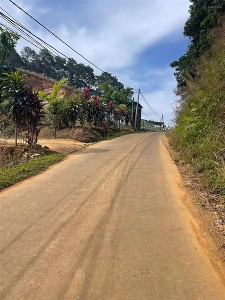 Đất view suối cam ly. cơ hội hiếm có góc 2 mặt tiền dt 823m2, sẵn 200m2 đất ở. sẵn sổ sang tên ngay