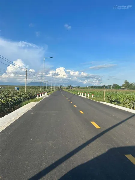 Bán 27.5m x 32m đất mặt tiền nguyễn minh châu tân hải lagi giá ngộp 66tr/m ngang sổ riêng