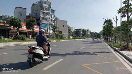 Bán đất ngọc thụy phân lô ô tô long biên diện tích 184 m² mặt tiền 10 m, giá 36 tỷ