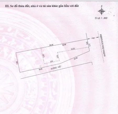 Bán lô đất 2mt ông ích khiêm 198m2 khu sầm uất chỉ 29tỷ