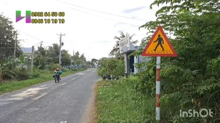 Đất ngay trường thcs thông bình mặt tiền đường nhựa