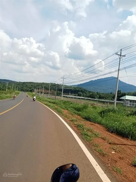 Cần bán nhanh hơn 3ha cao su tại đăk ơ, bù gia mập, 70m mt đườn nhựa, giá 3.6ty/ha