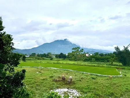 Lô 2 mặt tiền view núi, tuyệt đẹp, 550m2 giá tốt, đường rộng 6m