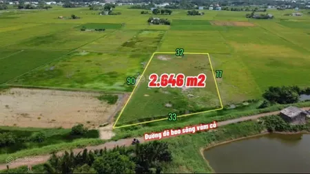 Bán đất 2648m2 mt đê bao sông vàm cỏ tại xã long hựu đông, cần đước, long an chỉ với 1,539 tỷ