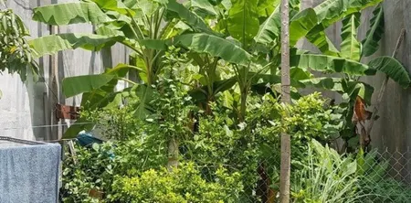 CHỈ 800 TRIỆU, SỞ HỮU NGAY 45m2 ĐẤT SẠCH, KHÔNG VƯỚNG QH, LINH XUÂN, THỦ ĐỨC