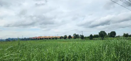 Bán 24.300m2 đất xây xưởng kcn tân đức, đức hòa, long an180usd/m2~4.7tr/m2xuất hđ đủ vị trí đẹp