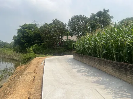Đất TC