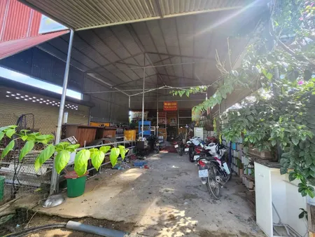 Bán đất