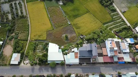 4630m2 đất lúa đã phủ tmdv. mặt tiền đường 833b long hiệp. xe container đi vi vu