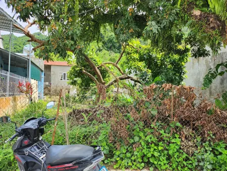 Bán đất tại tổ dân phố 4 Thị trấn Mường Ảng
