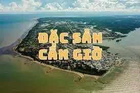 Bán lô đất mặt tiền trần quang quờn, cần giờ ( dt 50x22m) tiện kinh doanh giá 26 tỷ