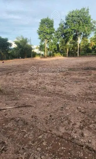 Bán gấp lô đất mặt tiền đường cây thông ngoài cửa dương, phú quốc, vị trí đắc địa, sinh lời cao