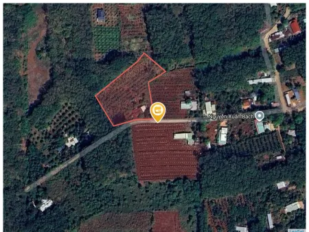 Bán đất 6096.3m² ngang 62m giá 970 triệu Phường An Lộc
