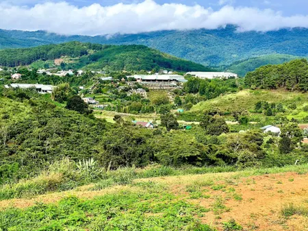 Mảnh đất sào hiếm, đẹp còn sót lại ở Xã Lát, Lạc Dương, view đẹp xinh lung linh cho thuê giá rẻ, phù hợp làm homestay nghỉ dưỡng, săn mây, view đồi núi