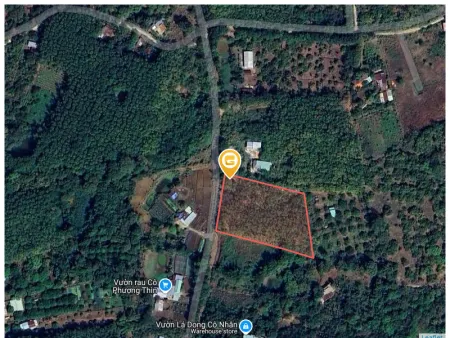 Bán đất 6005m² ngang 63m giá 1.1 tỷ Phường An Lộc